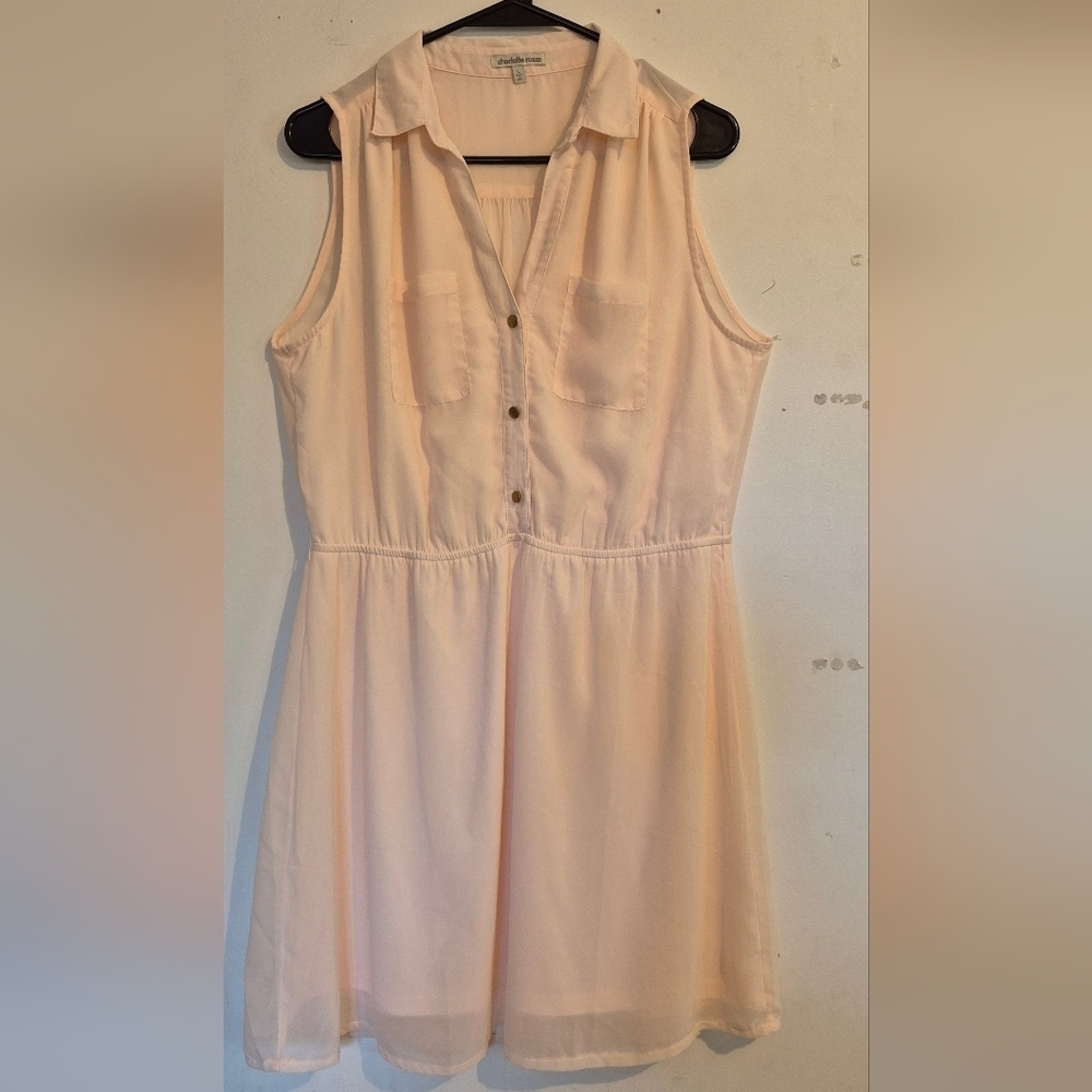 Charlotte Russe Light Pink Button-Front Dress